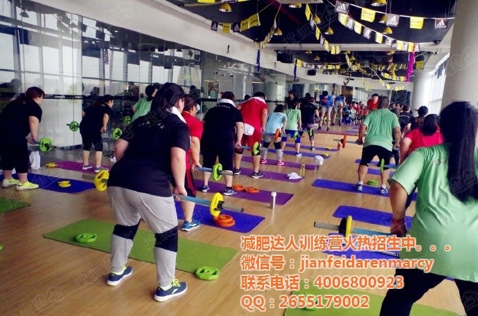 泉州减肥训练营,重塑健康的起点,泉州减肥训练营,重塑健康生活的起点