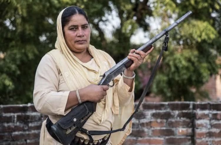 没有枪的国家,探索和平与安全的基石,无枪之国,和平与安全的探索之路