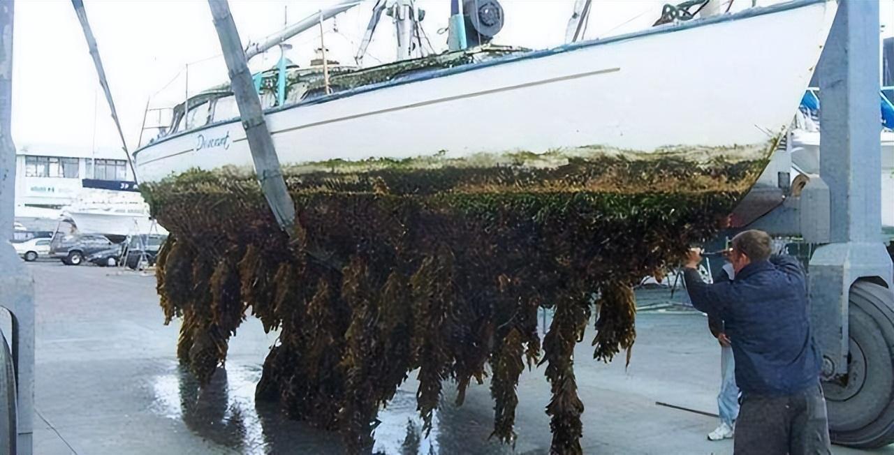 航空母舰模型底部图,探索细节之美,航空母舰模型底部细节探索图