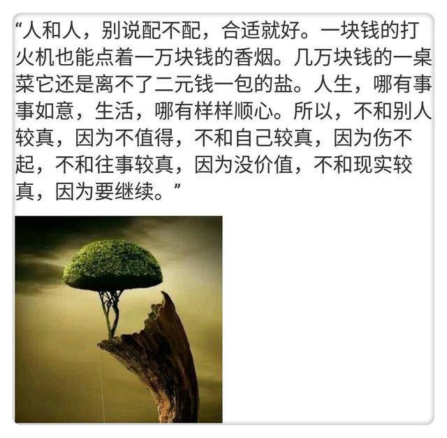 816,超越时空的震撼观后感——最燃一句话引深思,超越时空的震撼,一句深思引共鸣,心灵之旅的启示之旅