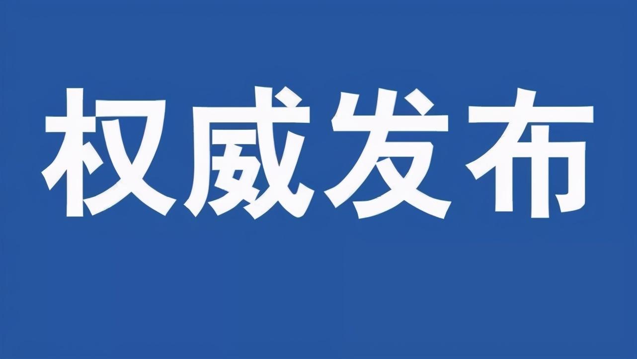 探究81式步枪现代化之路,探究81式步枪现代化之路,发展历程与技术革新
