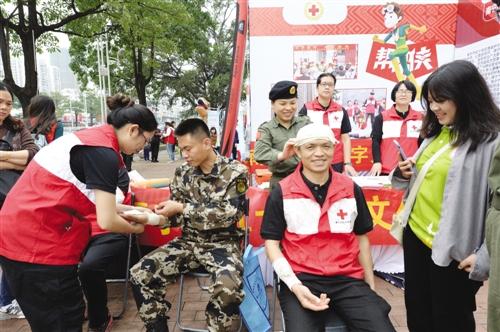 八大共和国勋章人物，时代的荣光与民族的骄傲，八大共和国勋章人物，时代荣光与民族骄傲的象征