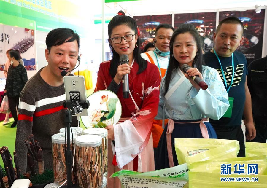 CCTV海峡两岸直播,连接两岸的桥梁与纽带,CCTV海峡两岸直播,连接两岸的桥梁纽带