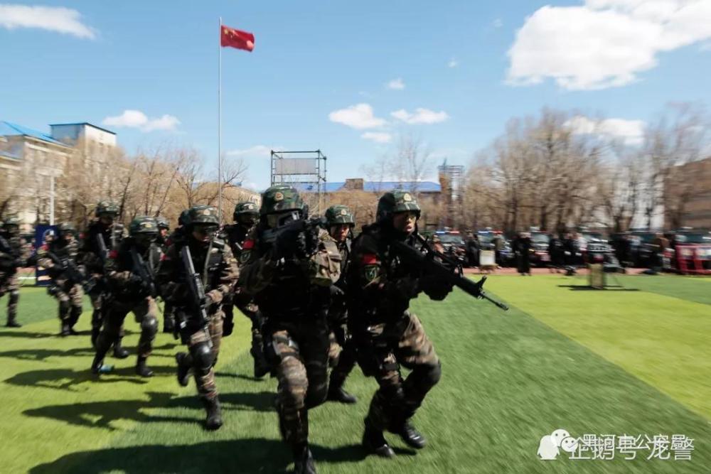 委内瑞拉国际反恐学校,培养全球反恐精英的摇篮,委内瑞拉国际反恐学校,全球反恐精英的培育摇篮