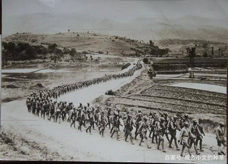 滇西挺进纵队，英勇抗战的先锋力量，滇西挺进纵队，英勇抗战的先锋先锋力量