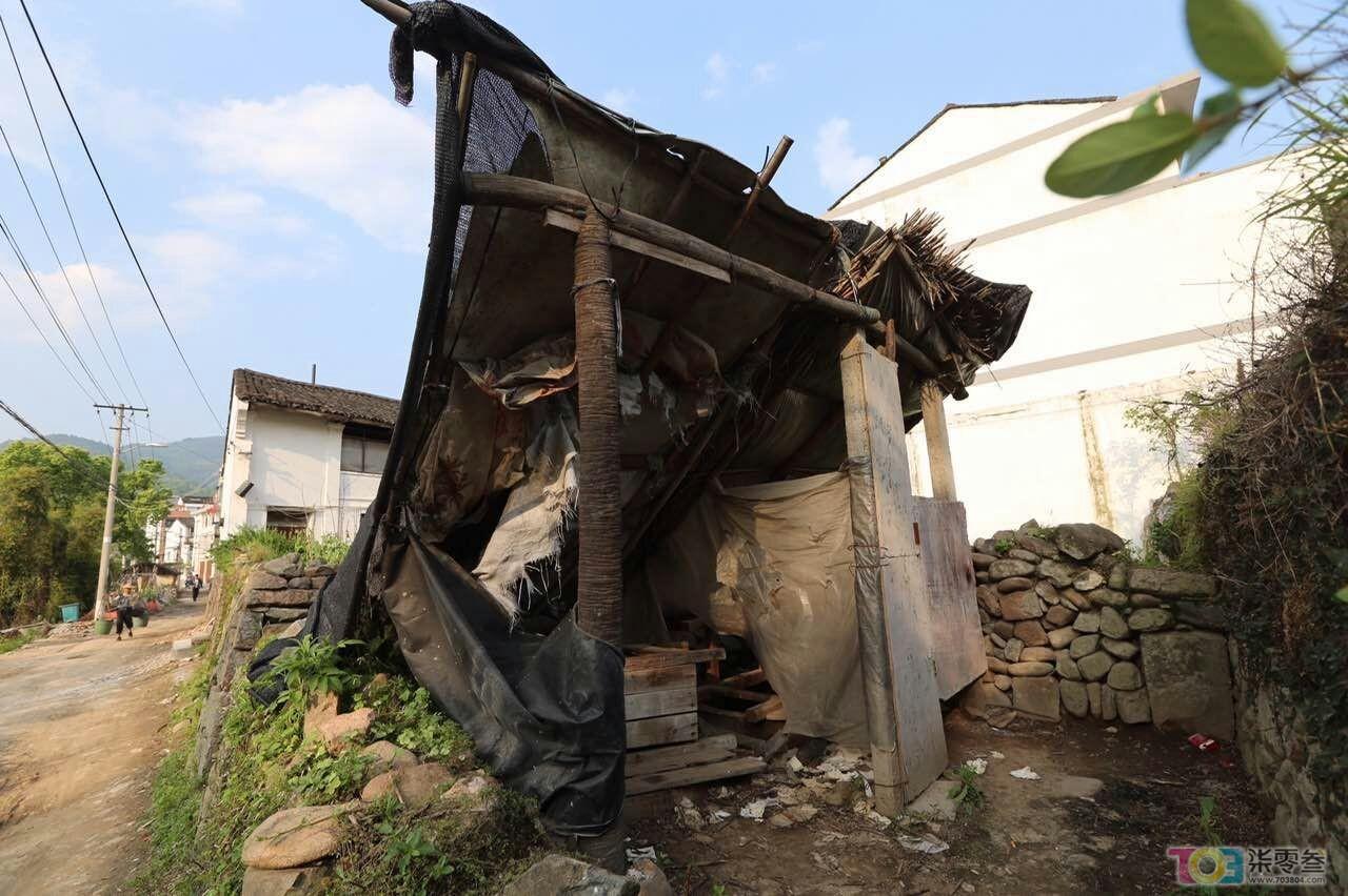 温州新闻与浙江新闻网站的发展脉络,温州新闻与浙江新闻网站发展脉络探究