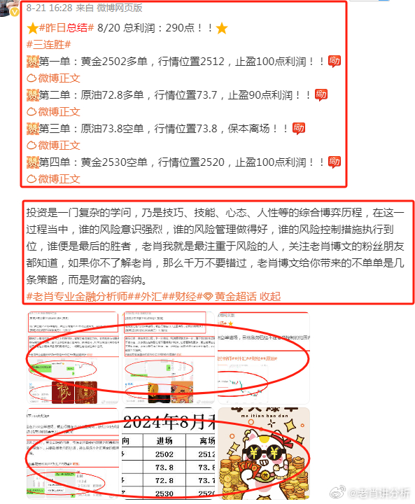 香港王中王一肖网站，探索与解析，香港王中王一肖网站深度解析与探索