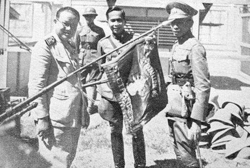 谁帮中国打败日本,民族力量与国家精神的胜利,民族力量与国家精神的胜利,中国战胜日本的背后力量