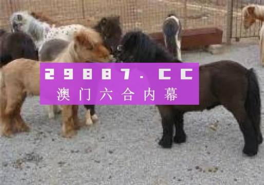 王中王金马论坛平特一肖,深度解析与探讨,王中王金马论坛平特一肖深度解析与探讨研讨会