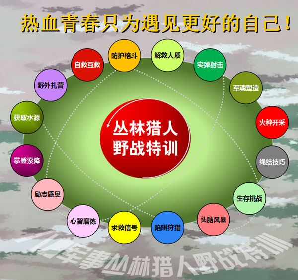 猎人学校的课程设置，培养综合素质人才的独特路径，猎人学校，培养综合素质人才的独特路径与课程设置