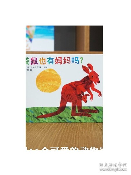 最准一肖一码一一中一特袋鼠妈妈,神秘与魅力的结合,袋鼠妈妈,神秘魅力与精准特码的传奇