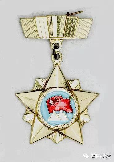 纪念章与奖章的区别,荣誉的象征与历史的印记,纪念章与奖章差异解析,荣誉的象征与历史的独特印记