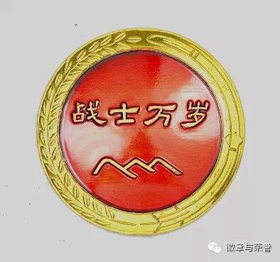 纪念章与奖章的区别,荣誉的象征与历史的印记,纪念章与奖章差异解析,荣誉的象征与历史的独特印记