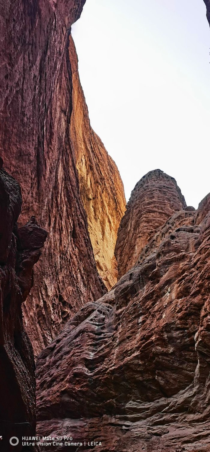 西陆网老三届乐园论坛主题探讨,历史记忆与现代情感的交融之地,西陆网老三届乐园论坛,历史记忆与现代情感的交融平台