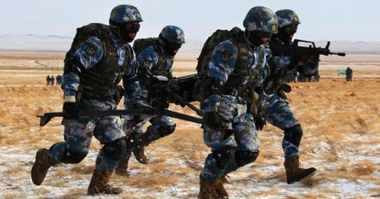 揭秘中国海军陆战队之71613部队的独特风采,揭秘中国海军陆战队71613部队的独特风采与战斗力