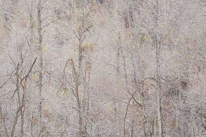 航天母舰与宇宙飞船，探索宇宙的两种重要工具的区别，航天母舰与宇宙飞船，探索宇宙工具之差异