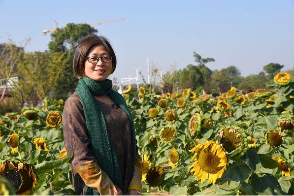 凤凰网新闻主页链接，探索新闻信息的门户，凤凰网新闻主页，探索新闻信息的门户之门