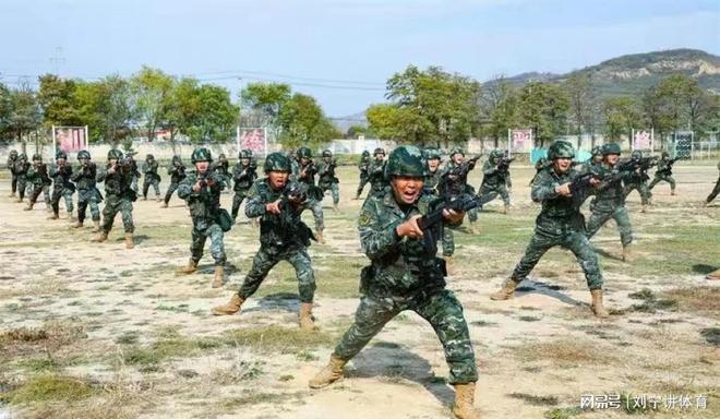 集团军与武警,协同作战的力量的象征,集团军与武警,协同作战力量的典范