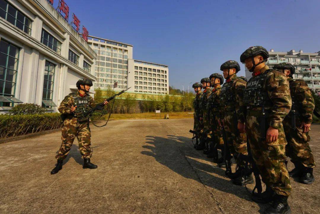 集团军与武警,协同作战的力量的象征,集团军与武警,协同作战力量的典范