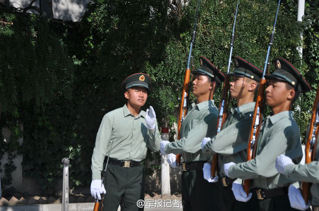 三军仪仗队标兵就位，荣耀与责任的象征，三军仪仗队标兵就位，荣耀与责任的交汇