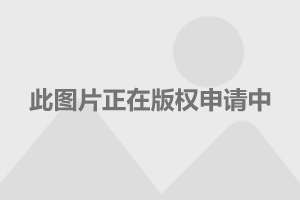 歼八战斗机生产厂家深度解析，歼八战斗机生产厂家的深度探究