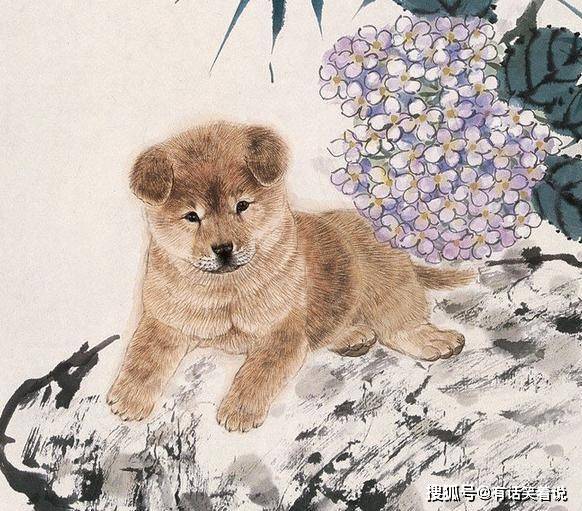 管家肖的生肖属性，探寻与解读，管家肖的生肖属性深度解读与探寻
