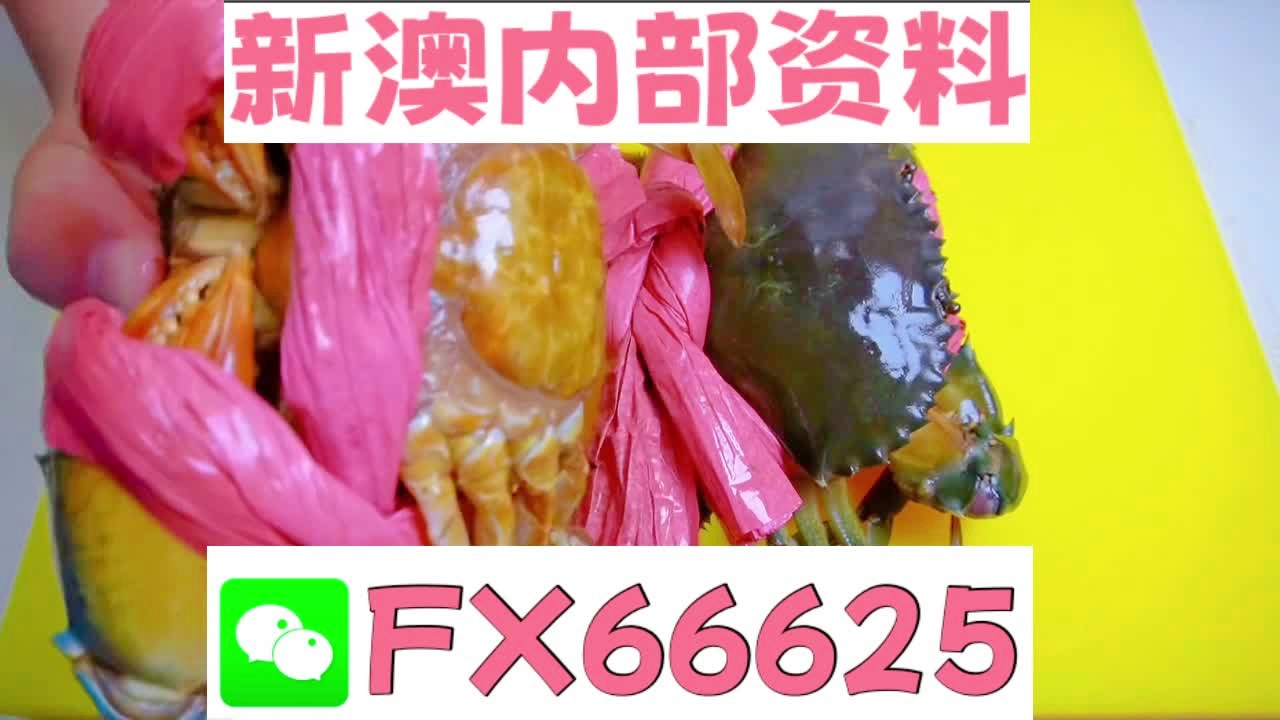 新奥天天精准资料大全，深度解析与探索，新奥天天精准资料大全，深度探索与解析