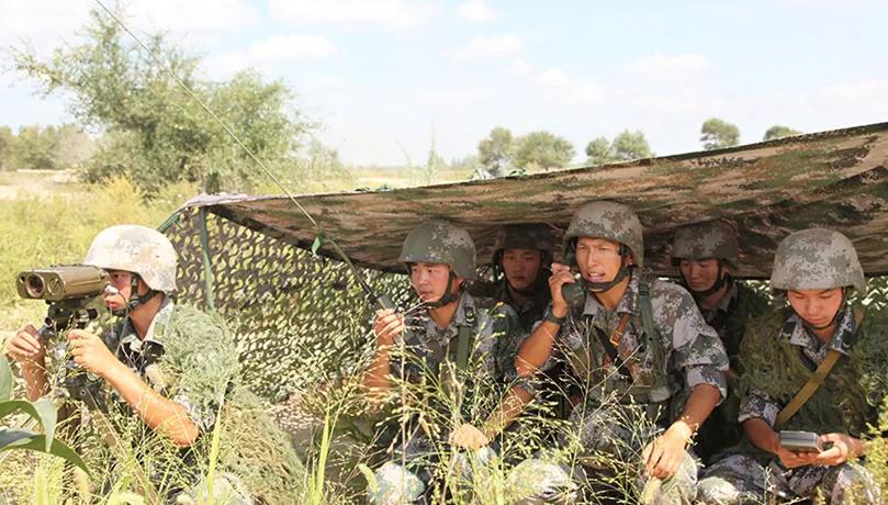中国陆军十三个集团军兵力概览，中国陆军十三个集团军兵力全景解析