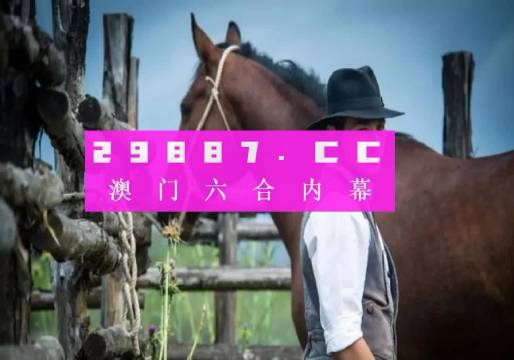 澳门正版资料全年免费公开精准，探索与解析，澳门正版资料全年免费公开精准，深度探索与解析