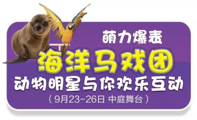 新澳门天天开奖资料大全，探索彩票世界的奥秘，新澳门天天开奖资料大全，揭开彩票世界的神秘面纱