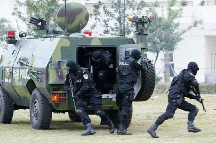 特种兵武警特战电视剧大全,热血、荣耀与英雄之魂的集结,特种兵武警特战电视剧大全,热血荣耀与英雄之魂的战场