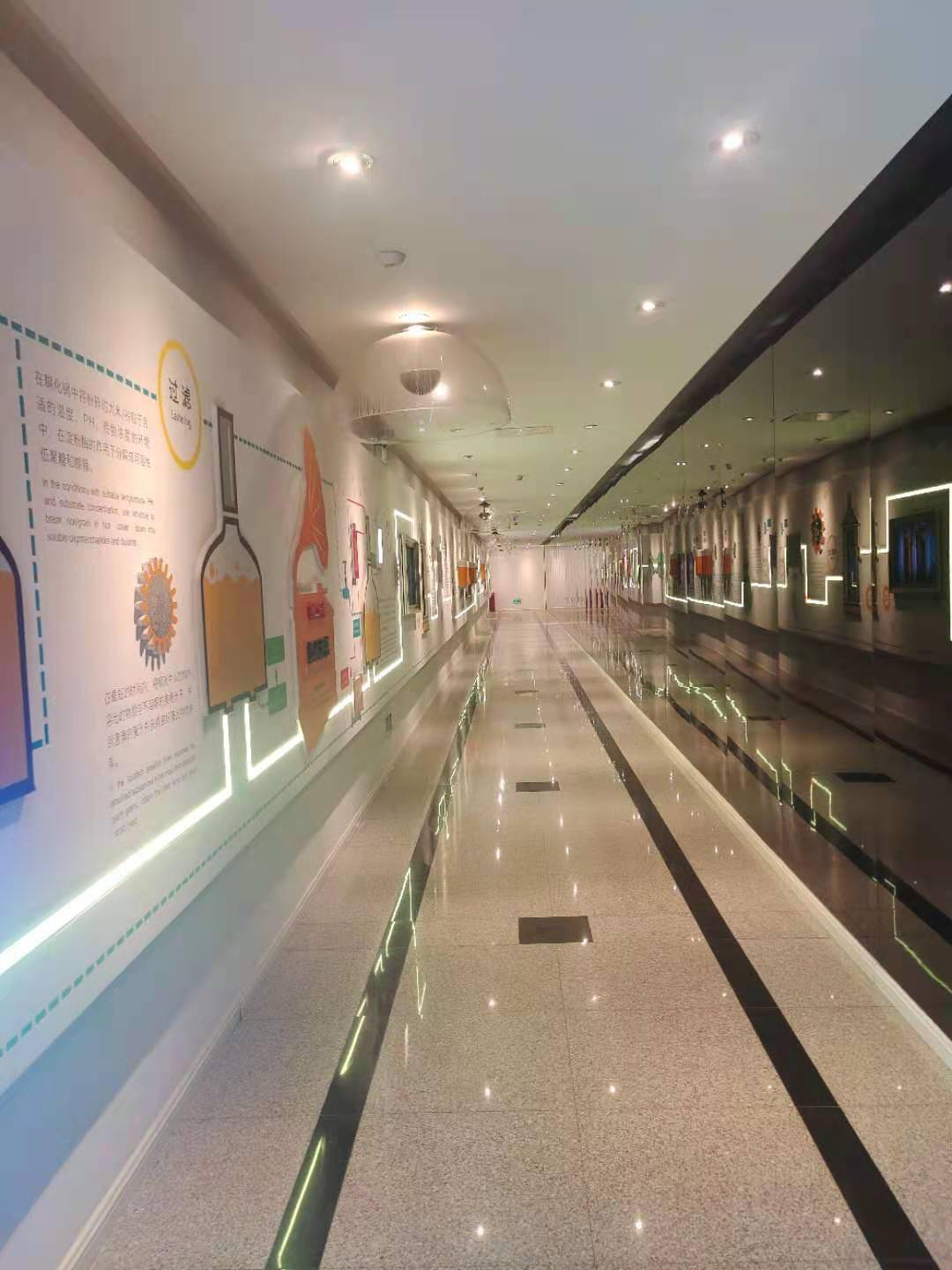 澳门一码一肖一待一中四不像，探索神秘与现实的交织，澳门神秘现象揭秘，一码一肖一待一中四不像的探索之旅