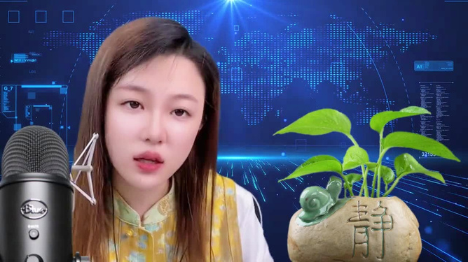 国际观察下的苏琳，一位引人注目的国际人物，苏琳，国际观察下的瞩目人物