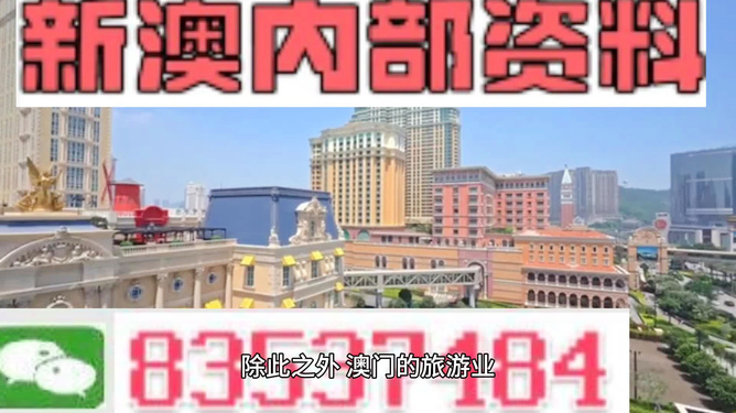 新门内部资料精准大全，深度解析与探索，新门内部资料深度解析与探索秘籍大全