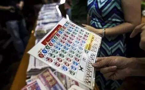 WW777766香港开奖结果,探索彩票背后的魅力与挑战,WW777766香港彩票开奖结果,探索背后魅力与挑战