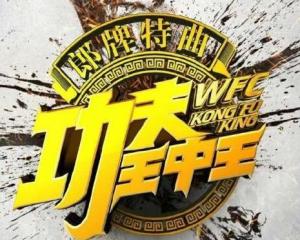 王中王一肖平特免费——探索彩票行业的奇迹与机遇，彩票行业的奇迹与机遇，王中王一肖平特免费探索之旅