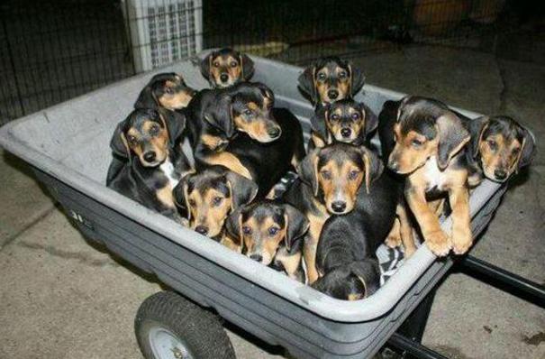 这几天怎么没播海峡两岸新闻?深度探究背后的原因,海峡两岸新闻缺席,深度探究背后的原因