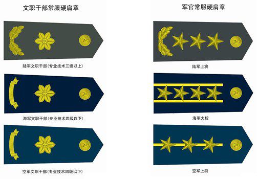 文职干部军衔，军队中的特殊荣誉与职责担当，文职干部军衔，军队荣誉与职责担当的标识