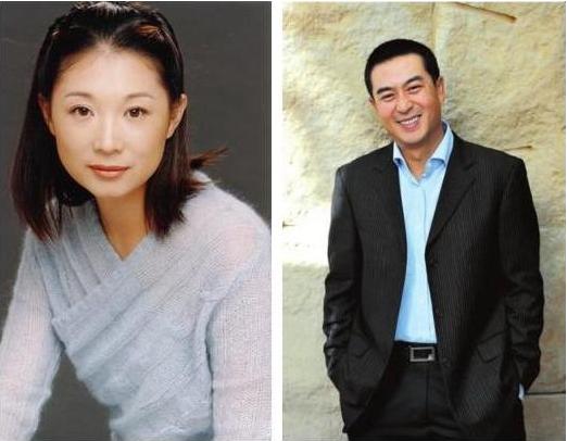 探索2004年新澳门一肖一马背后的故事，揭秘澳门生肖马背后的故事，探寻背后的故事与秘密