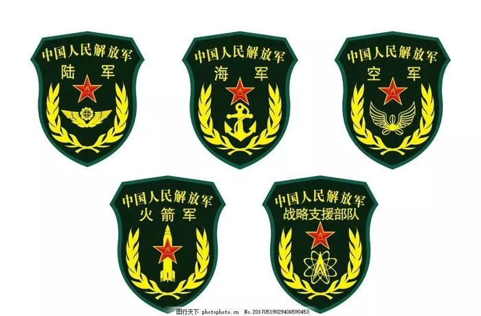 战略支援部队，揭秘其所属兵种与战略地位，战略支援部队揭秘，兵种构成与战略地位探讨