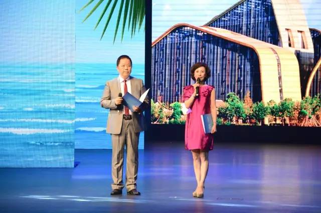 丁春晓，一位引领时代的杰出人物，丁春晓，时代杰出人物的典范