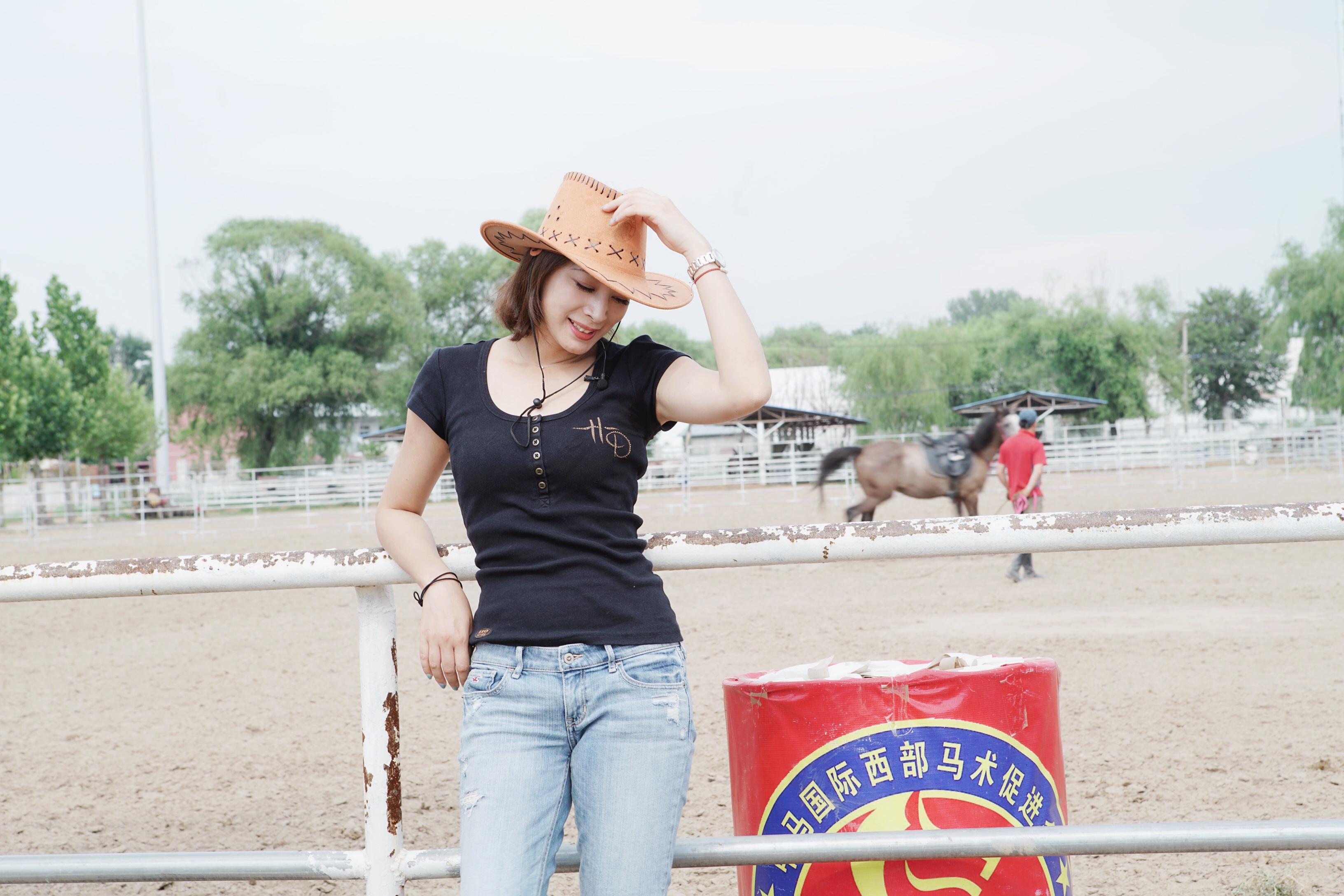 美国西部牛仔片的魅力,探寻106部经典之作的独特韵味,美国西部牛仔经典,探寻百部佳作之独特魅力