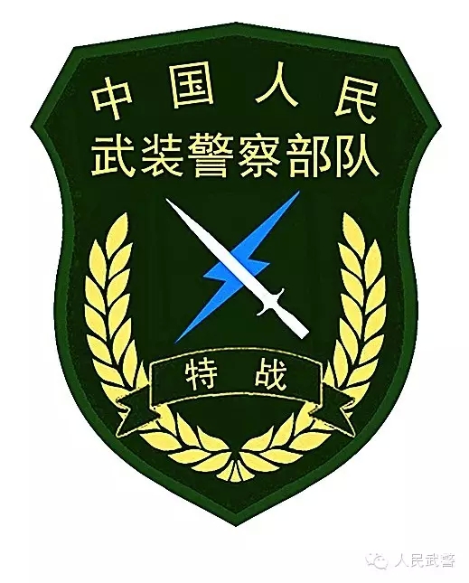 中国人民武装警察部队，光荣的使命与时代的担当，中国人民武装警察部队，光荣使命与时代担当的践行者