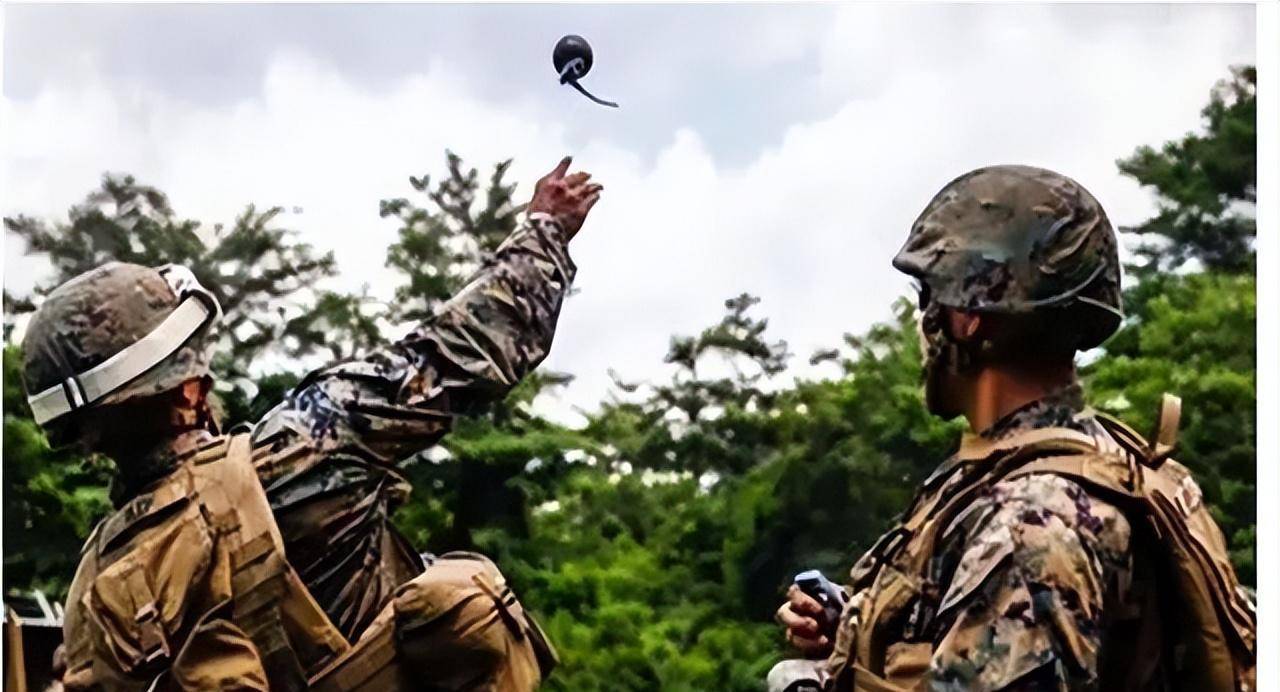 裙子里手榴弹,一场荒诞与现实的交织,裙子里藏手榴弹,荒诞与现实的碰撞