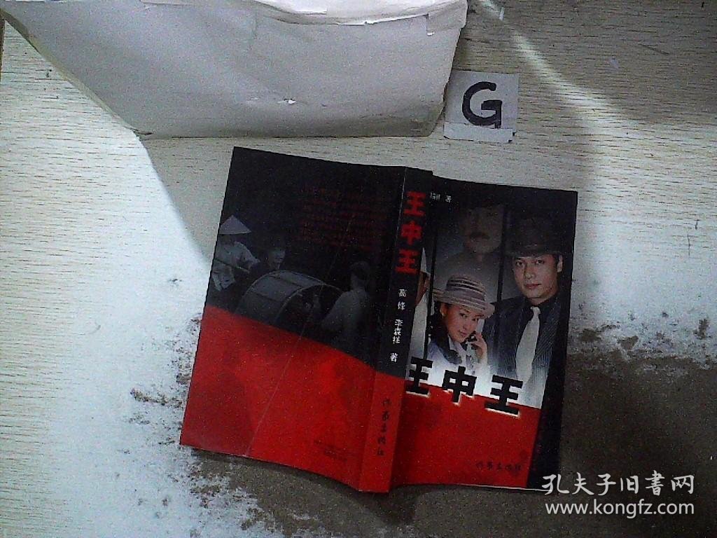 王中王资料一肖持,深度解析与探究,王中王资料一肖持,深度解析与探究揭秘