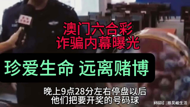 澳门六合彩生肖开奖结果，揭秘与解读，澳门六合彩生肖开奖结果揭秘与分析