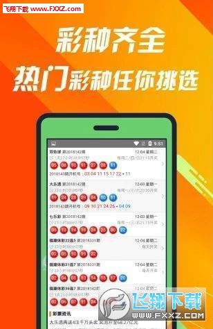 王中王精选一肖码，探索与解析，王中王精选一肖码，深度探索与解析