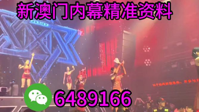 新2025澳门兔费资料，探索与解读，澳门兔费资料解读，揭秘新趋势至2025年