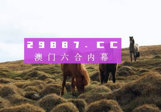 澳门开奖大全，探索最快的获取开奖信息途径，澳门开奖信息探索，快速获取开奖大全的秘诀
