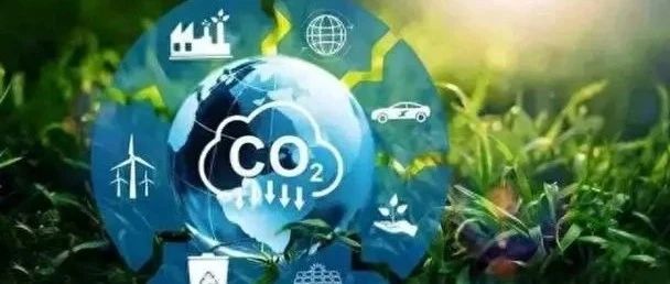 国际观察,中国方案推动全球绿色低碳转型,中国方案引领全球绿色低碳转型的国际观察